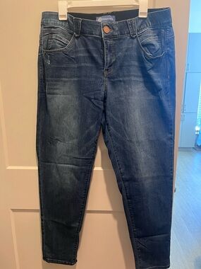 Democracy Women's Indigo Stretch Jeggings - Dark Wash